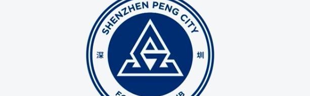 记者：深圳新鹏城还有来自欧洲的黑人中卫